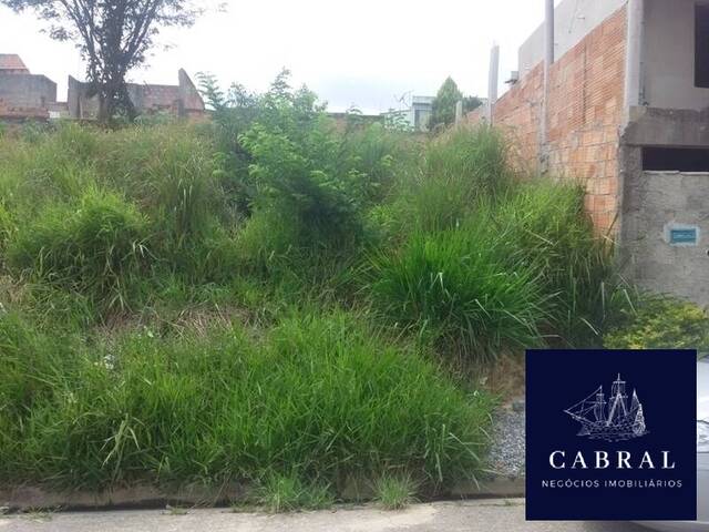 #219 - Lote / Terreno para Venda em Ribeirão das Neves - MG