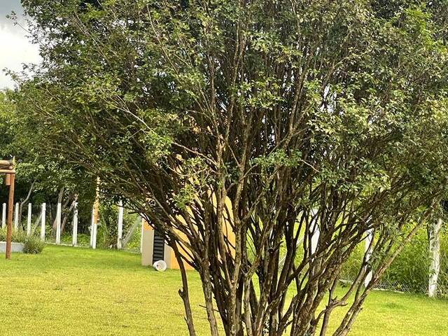 #427 - Chácara para Venda em Esmeraldas - MG