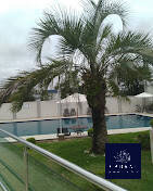 Apartamento para alugar com 2 quartos, 44m² - Foto 1